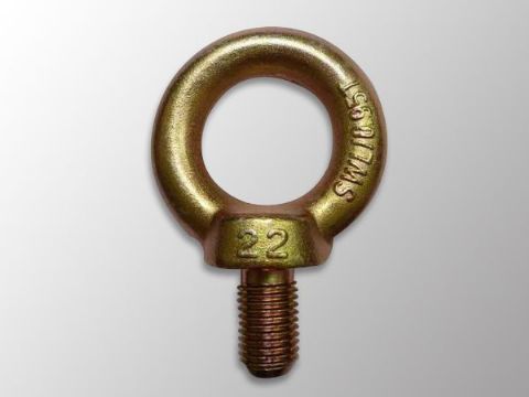 點擊查看詳細信息<br>標題：DIN580 Eye Bolt 閱讀次數(shù)：1234