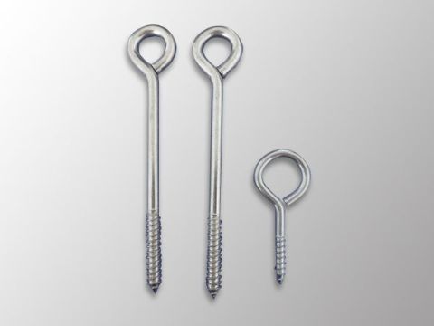 點(diǎn)擊查看詳細(xì)信息<br>標(biāo)題：Eye Bolt 閱讀次數(shù)：1105