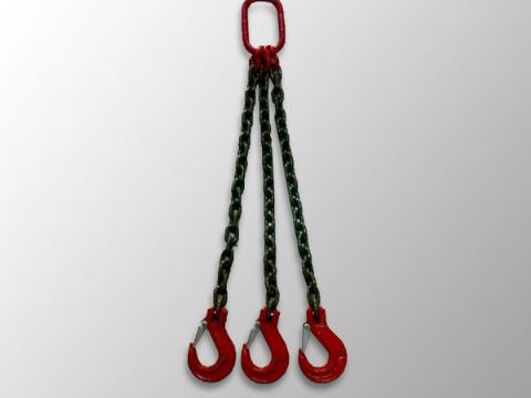 點(diǎn)擊查看詳細(xì)信息<br>標(biāo)題：鏈條吊索具 閱讀次數(shù)：1304