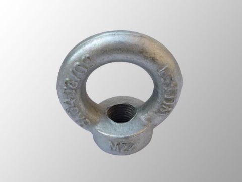 點(diǎn)擊查看詳細(xì)信息<br>標(biāo)題：吊環(huán)螺母 閱讀次數(shù)：2102